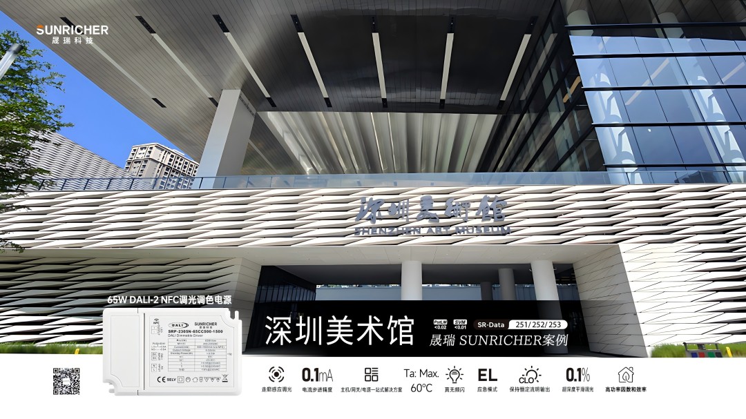 深圳美术馆案例海报(中文)(1).jpg